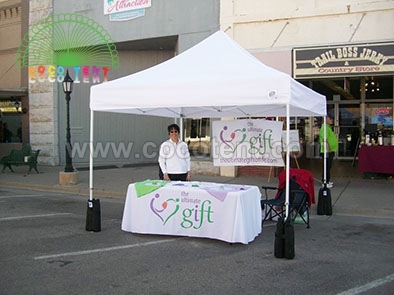 3x3M Promotion trade show outdoor canopy pop up tent