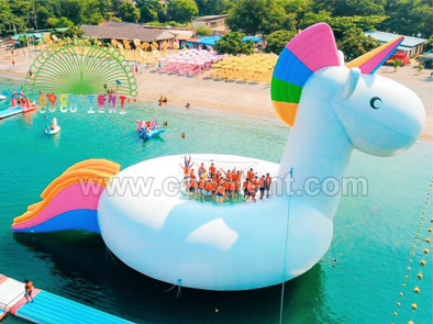 Customized Art Characters Inflatable Replica Unicorn